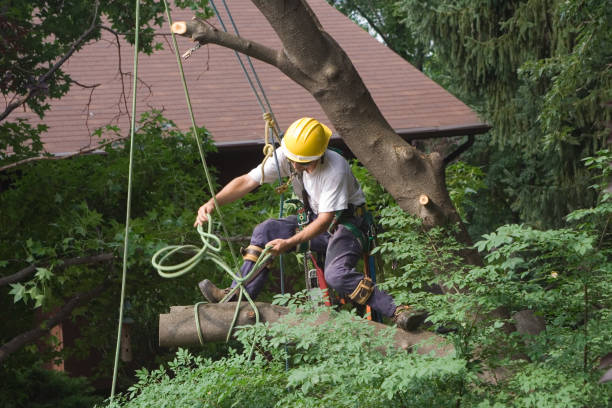 Best Emergency Tree Removal  in Como, WI